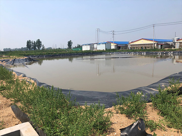 鱼虾养殖土工膜 鱼虾养殖土工膜