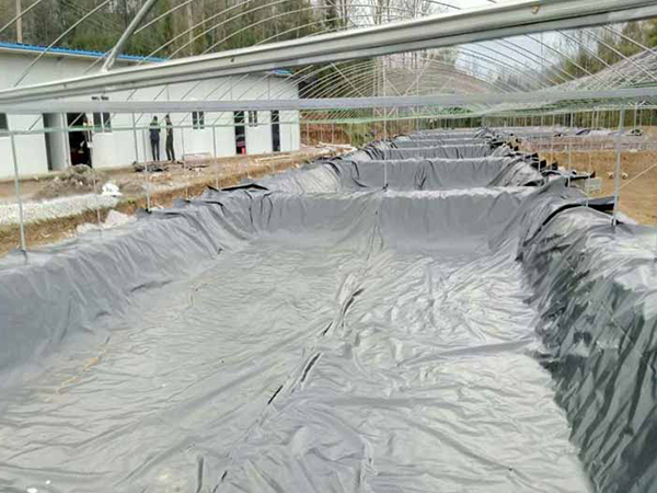 鱼塘防渗土工膜使用优势都有哪些? 鱼塘防渗土工膜使用优势都有哪些?