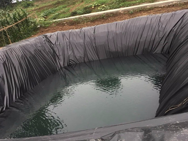 水产养殖防渗膜铺设后能用多久? 水产养殖防渗膜铺设后能用多久?