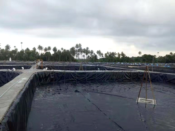 水产土工膜施工接缝细节是施工关键点 水产土工膜施工接缝细节是施工关键点