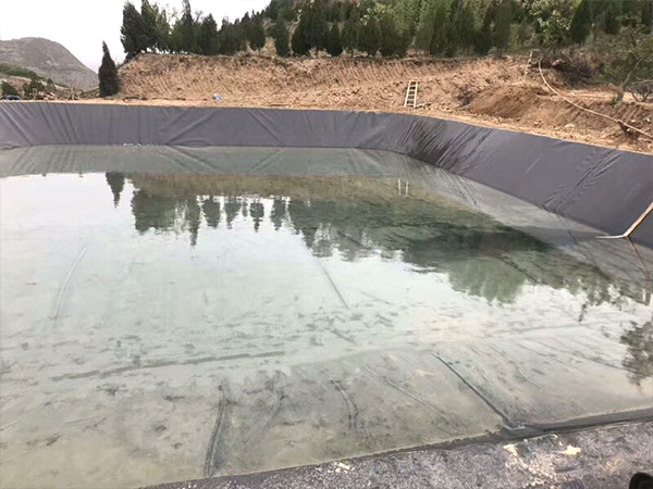 水产防渗膜虾池与土塘虾池之间的对比 水产防渗膜虾池与土塘虾池之间的对比