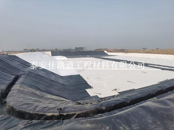 虾池利用防渗膜进行建设有哪些养殖经验? 虾池利用防渗膜进行建设有哪些养殖经验?