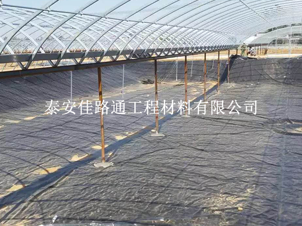 为什么说鱼虾养殖防渗膜可有效保护鱼儿生长? 为什么说鱼虾养殖防渗膜可有效保护鱼儿生长?