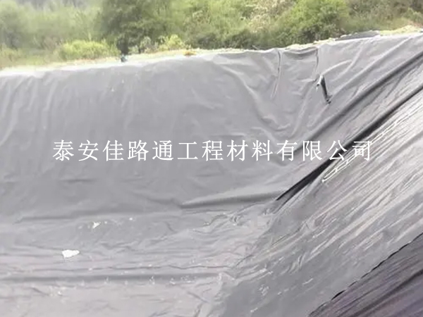 防渗复合土工膜抗生物侵蚀能力:一种创新视角 防渗复合土工膜抗生物侵蚀能力:一种创新视角