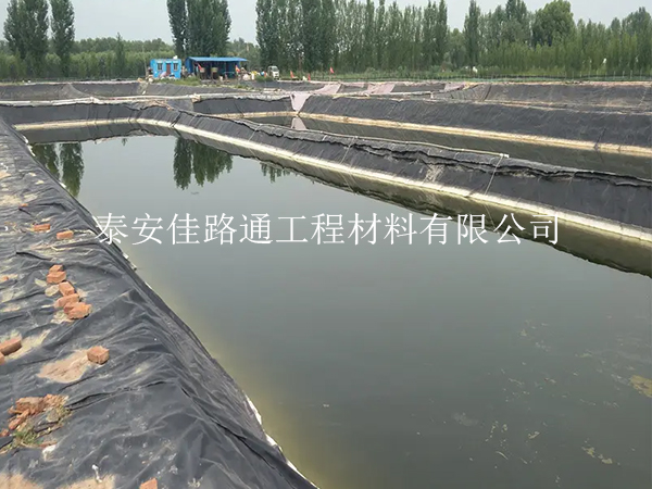 养殖防渗膜:鱼虾养殖的绿色守护者,创新助力水产繁荣 养殖防渗膜:鱼虾养殖的绿色守护者,创新助力水产繁荣