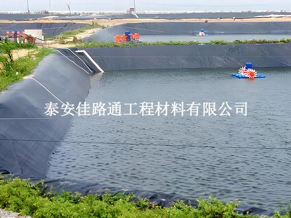 鱼塘防渗膜:对鱼儿生长的微妙影响 鱼塘防渗膜:对鱼儿生长的微妙影响