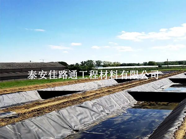 水产养殖防渗膜铺装技术要求:构建高效防水屏障 水产养殖防渗膜铺装技术要求:构建高效防水屏障