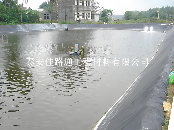 鱼塘防渗膜老化快？这些因素在悄悄影响使用寿命