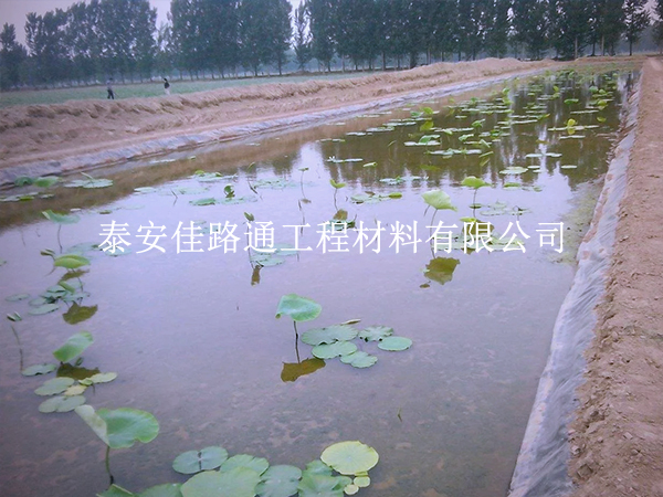 养殖防渗膜施工质量咋检测？这些技巧要掌握