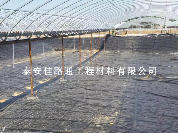 告别传统土池：养殖防渗膜为何成为现代养殖的“刚需”？