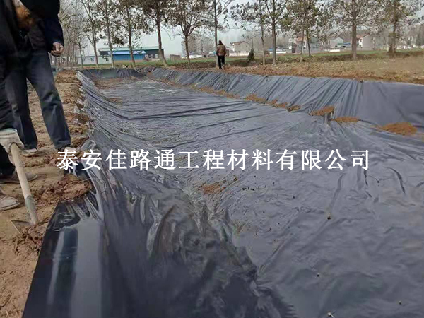 拒绝“隐形漏点”：藕池防渗膜薄弱部位强化保护实战技巧