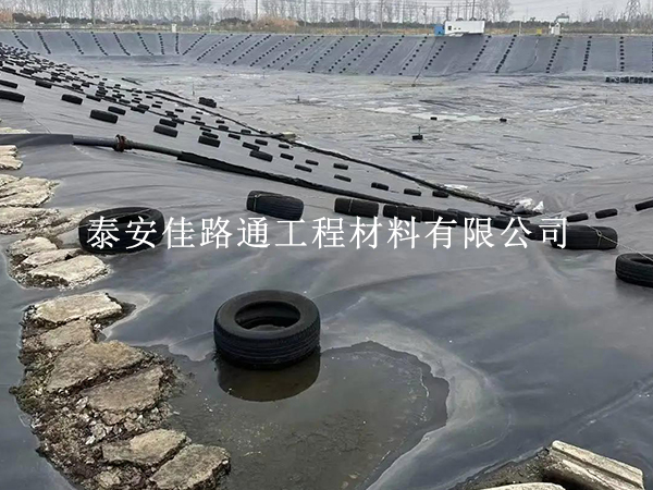 鱼塘防渗膜长效运维攻略：这些维护技巧让防渗更持久