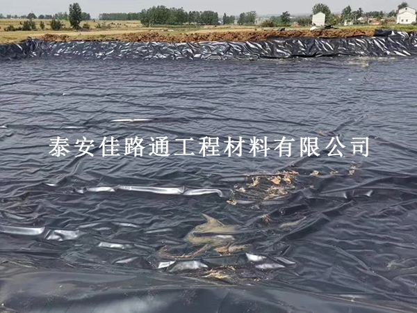 鱼塘防渗膜怎么选不踩坑？这几条实用建议先收好